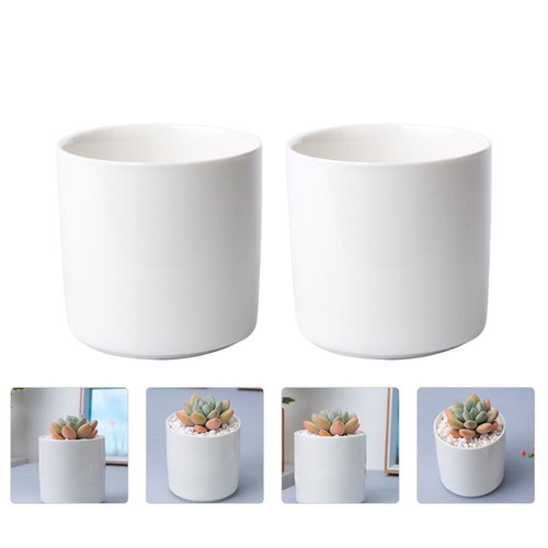 2 Pcs Ceramic Flowerpot Home Mini Planter Succulents Nursery Pots