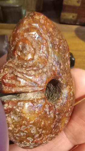 Chinese Hongshan Zhulong or Pig Dragon in nephrite - Picture 17 of 18