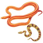 2 Pcs Snake Figure Animal Figurines Realistic Simulation Figures Mini