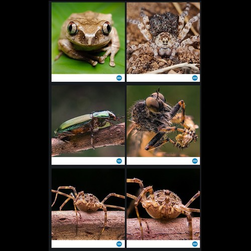 Lot d'objectifs macro conviviaux avec zoom 10 20x et lumière de remplissage pou - Photo 7 sur 12