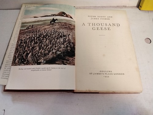 VINTAGE SPORTING GAME BOOKS X 4 PETER SCOTT ( LOT 1) - Picture 17 of 24