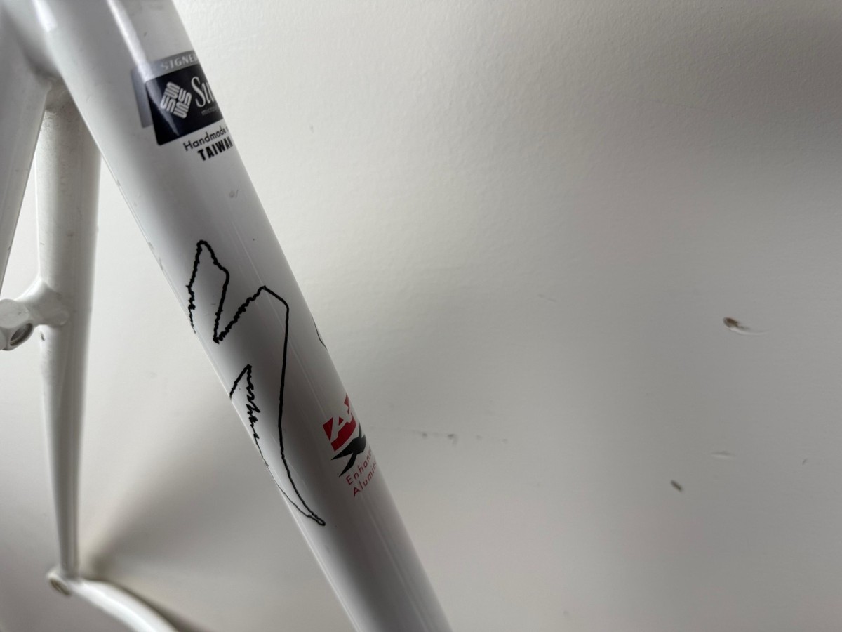 Vintage Specialized Allez 54cm Enhanced Butted Aluminum