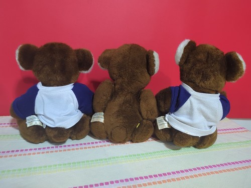 Build A Bear Lot of 3 Hugga T Bear Plush 2x Integris Health Tshirts Vintage - Picture 5 of 6