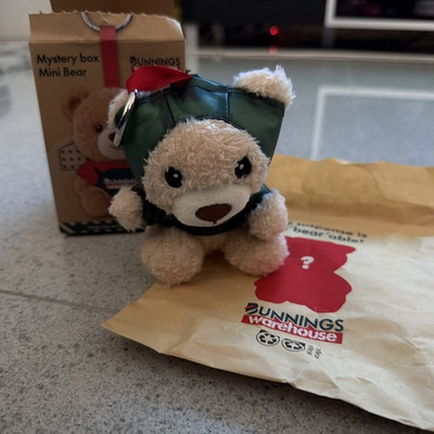 #ad Bunnings Mystery Bear Box Plush Pendant Keychain Raincoat Toy Labubu Hotwheels AU $20.00