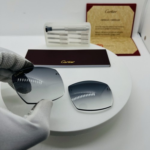 Cartier Lenses For Buffalo Horn Sunglasses - Picture 10 of 14