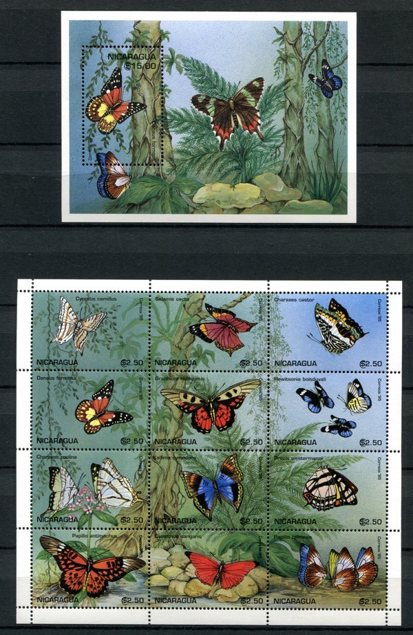 Foto 1 di 1
