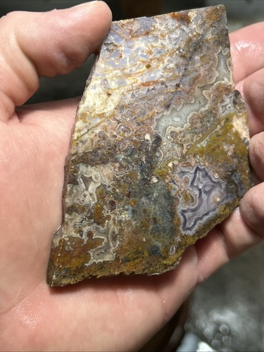 Rough Slab Unknown Picture Jasper Crazy Lace Agate Thick Lapidary Cabbing - Picture 10 of 15