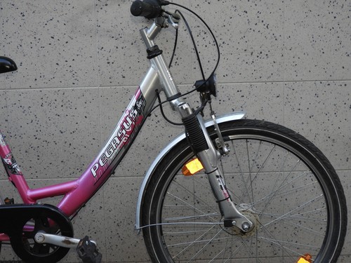 Top 100% ok ALU Mädchen Damen PEGASUS Fahrrad 24 zoll Feder Gabel Naben Dynamo - Bild 3 von 20