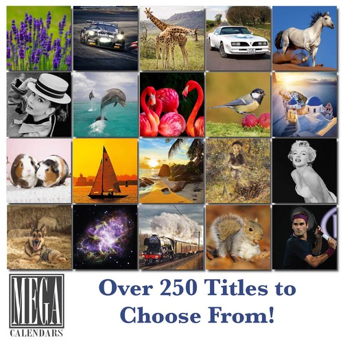 White Shepherd Calendar 2026 12x18 Made in USA - Picture 7 of 7