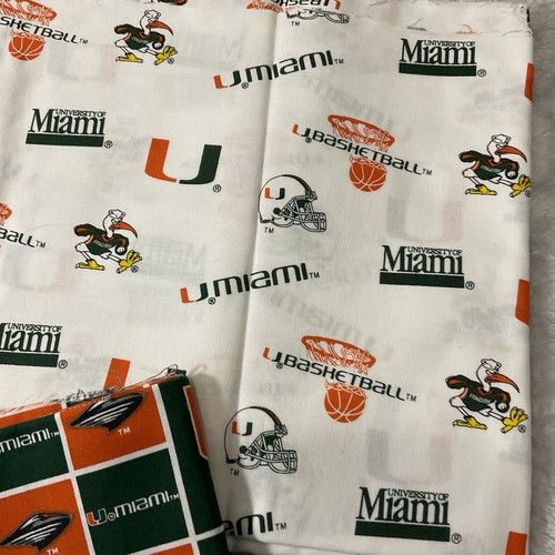 Baloncesto de tela de la Universidad de Miami Big U - Imagen 4 de 13