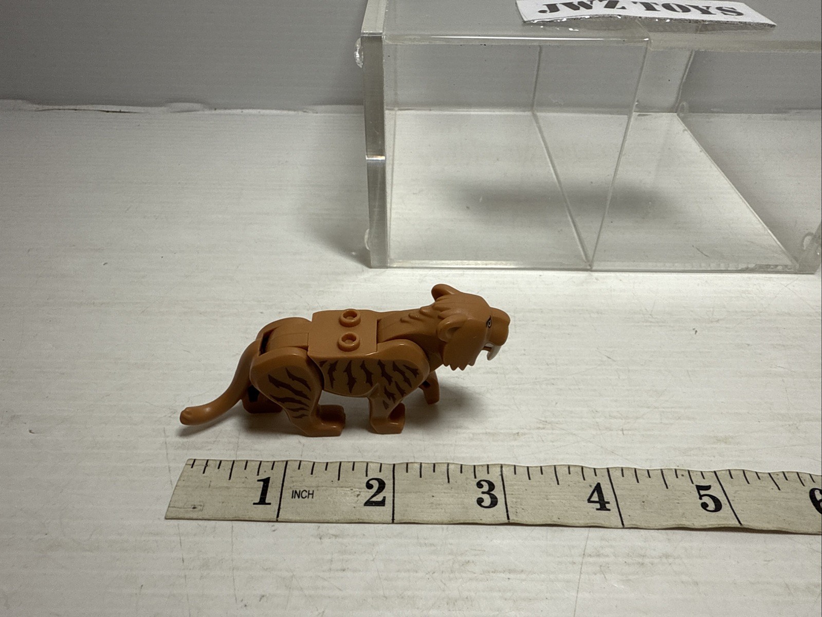 Picture 6 of 6