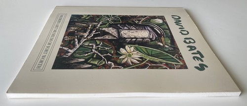 David Bates : Forty Paintings : Marla Price : Modern Art Museum of Fort Worth - Picture 3 of 4