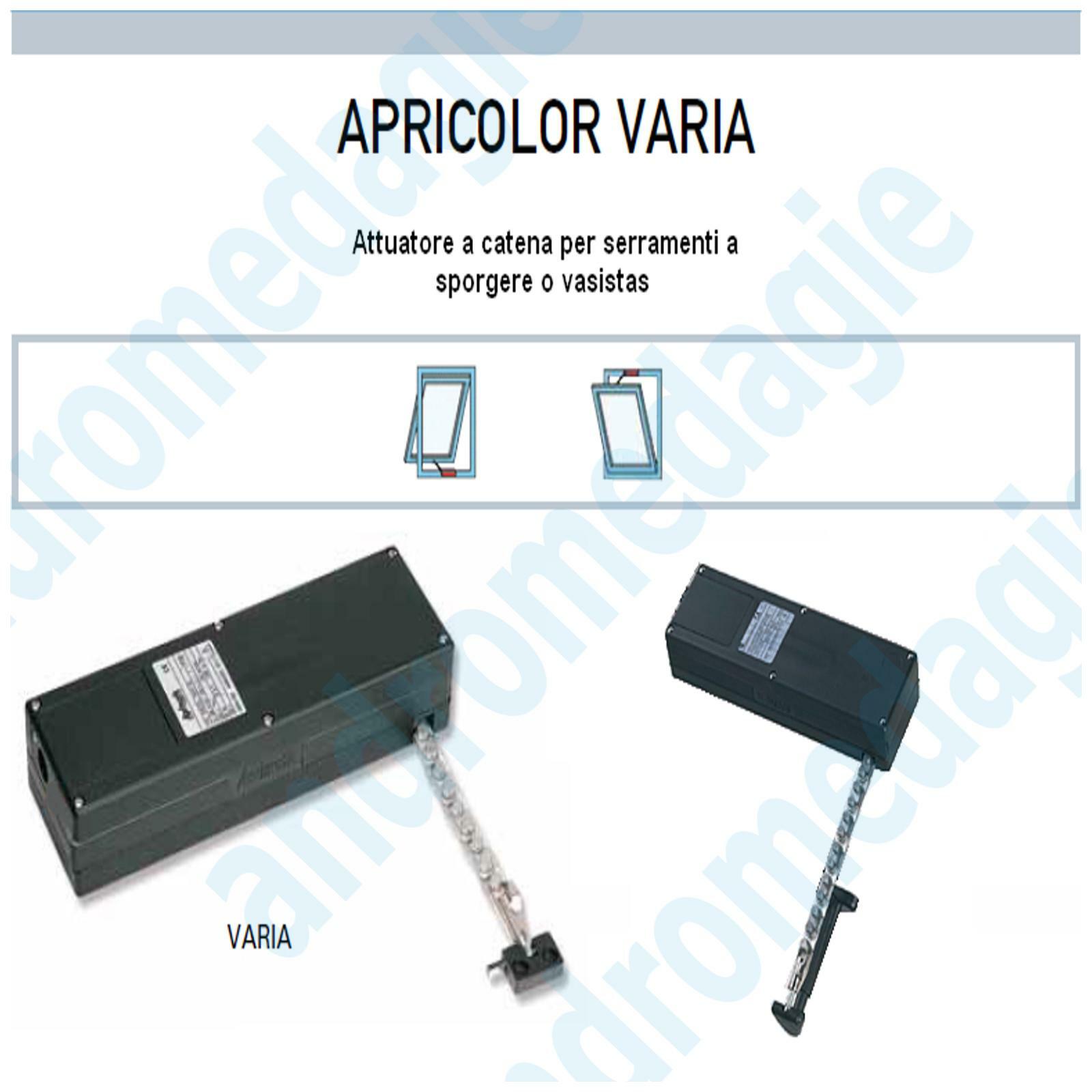 Imagen 4 de 6