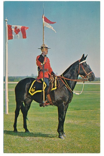 RCMP Royal Canadian Mounted Police Mountie and Horse Musical Ride Postcard - Picture 1 of 2