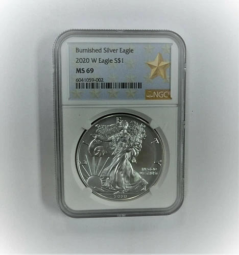 2020 W $1 NGC MS69 BURNISHED SILVER AMERICAN EAGLE  SILVER STAR LABEL ⭐9002⭐ V2⭐