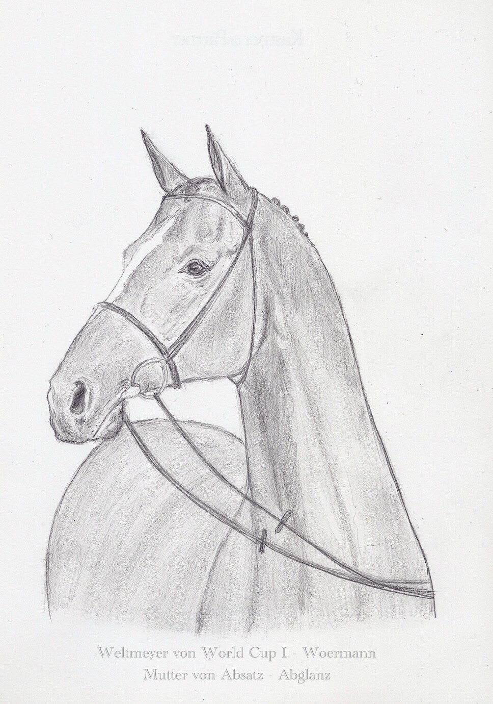 Bild 1 von 1