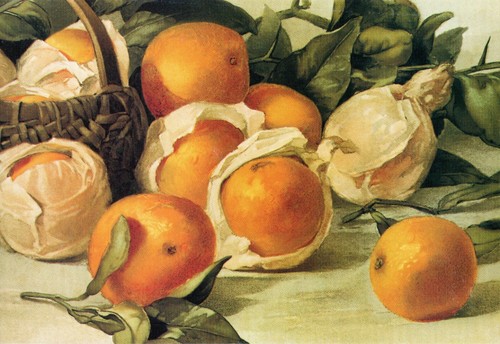 Süße Freundschaftskarte, Zitrusfrüchte Louis Prang Sammlung von Hallmark Crown + ✉ - Bild 1 von 6