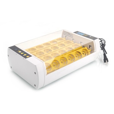 candler amp amp