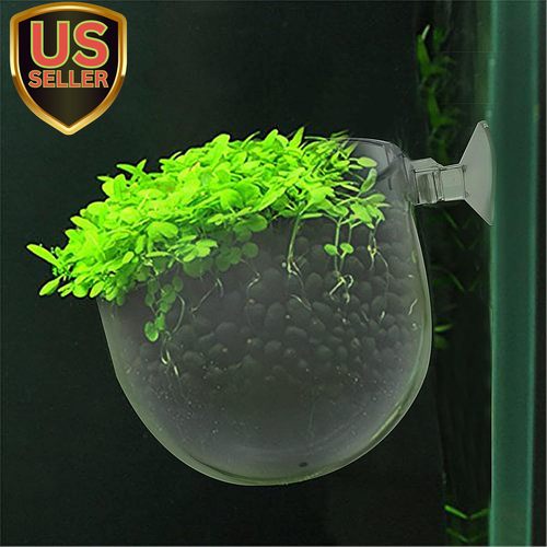 3 Pcs Plastic Aquatic Plant Pots, Aquarium Plant Pots with Suction Cups, Acrylic - Picture 6 of 7