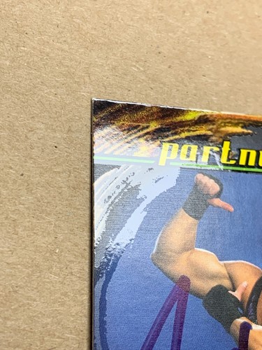 WWE ROB VAN DAM 2002 FLEER ABSOLUTE DIVAS PARTNERSCHAFTEN #58 SIGNIERTES AUTO - Bild 4 von 11