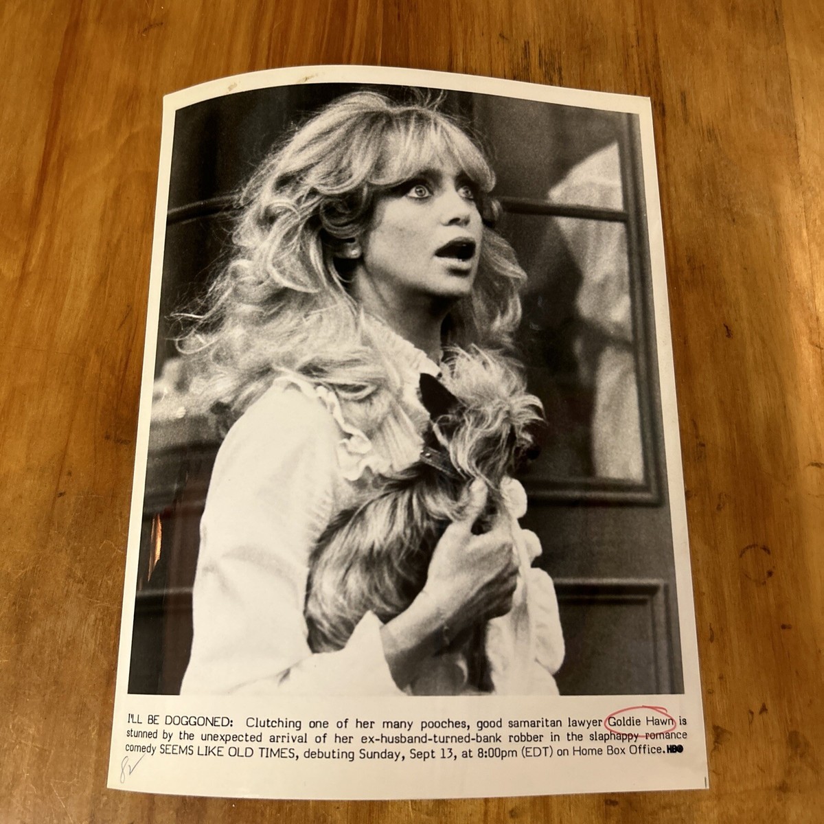 Vintage Black White ￼ Goldie Hawn ￼Photo Photograph Print