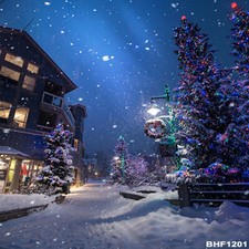 Christmas10'x10' Computer/Digital Vinyl Photo Scenic background backdrop BHF1201