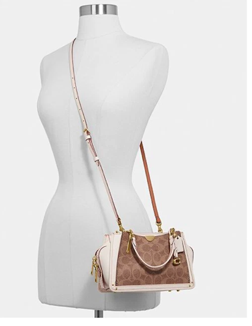 Coach signature dreamer 21 2025 mini satchel