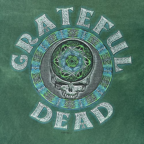 Vintage Grateful Dead Tye Dye Shirt Green Hand Dyed By Sun Dog Graphic Tee Sz XL - Picture 3 of 17