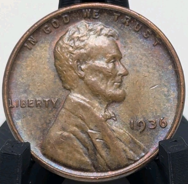 Picture 5 of 6