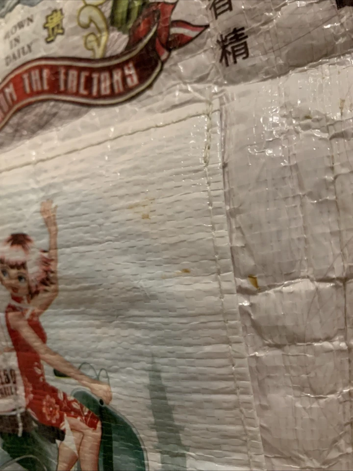 Blue Q Miso Pretty Tote Bag, 14 x 14 multicolor Double Sided design Vintage 2004 - Image 3 of 4