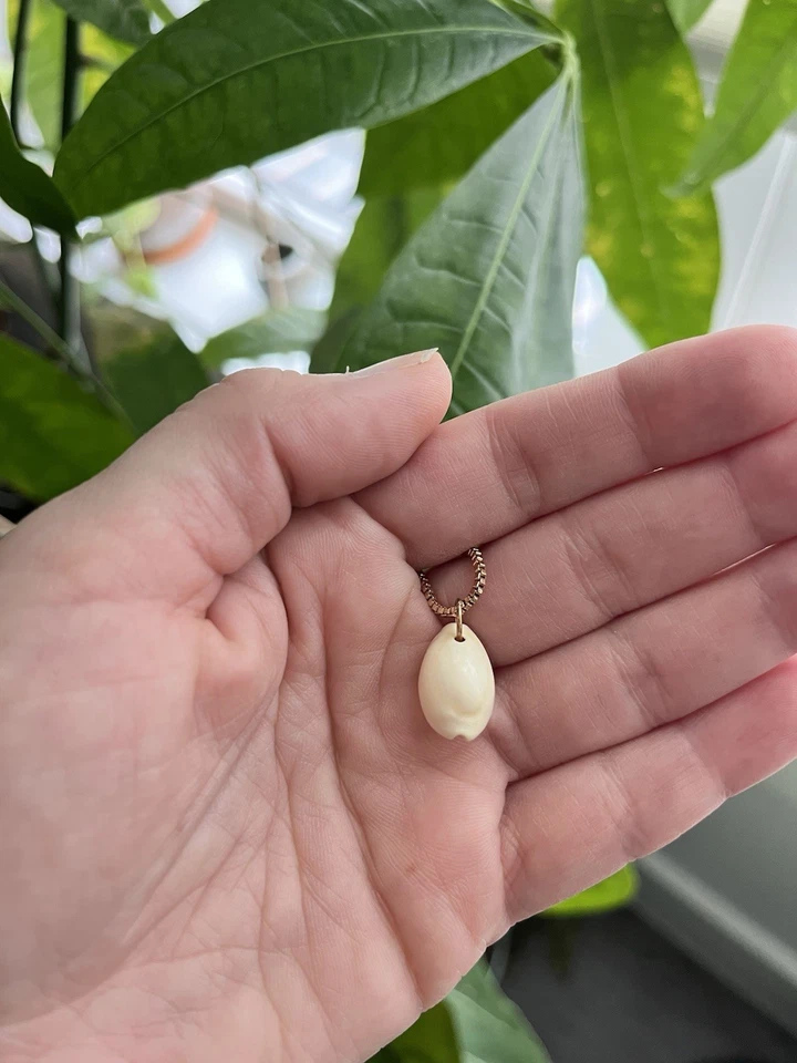 Colar pingente de concha de vaqueiro simples - Imagem 3 de 3