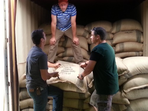 Lavanta Coffee "JET FUEL" Signature Blend Green or Roasted Coffee - Picture 8 of 12