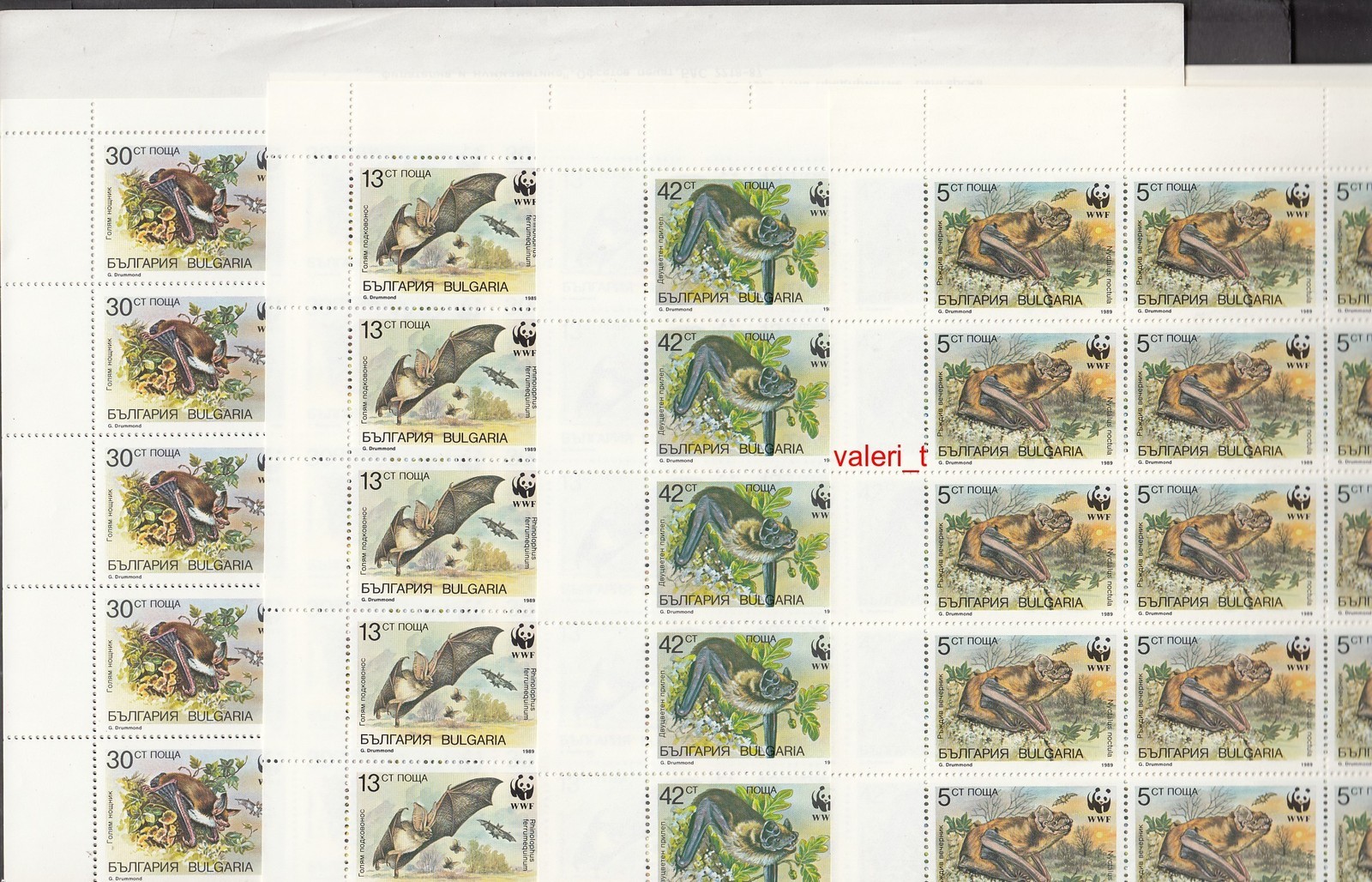 Foto 1 di 5