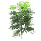 NNEOBA Tropical Palm Tree