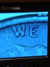 Bild 10 von 12