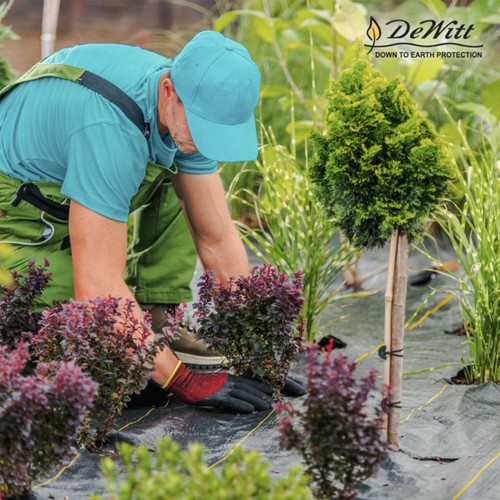 DeWitt P4 Pro 5 5oz Commercial Landscape Weed Barrier Ground Fabric - Picture 15 of 91