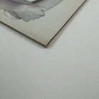 Bild 5 von 17