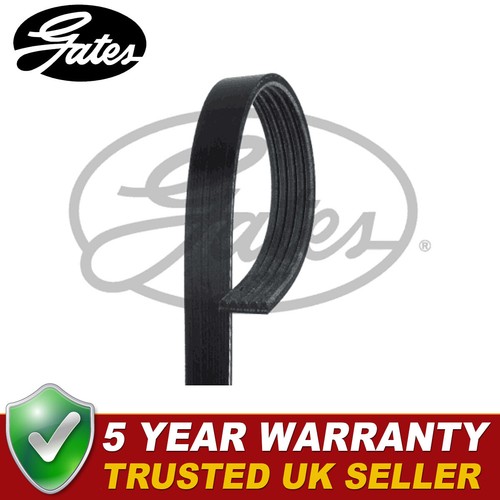 Gates V-Ribbed Belts Fits Hyundai i10 Kia Picanto 1.0 - 5PK925 - Picture 1 of 7