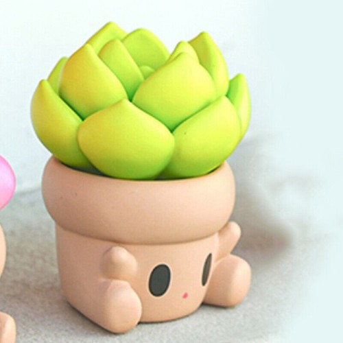 PENPOT Hugging Succulents Series 2 Blind Box Mystery Figures Kids Toys Gift HOT - Picture 10 of 34