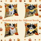 Fall Autumn Greeting Dog Cat Pet Photo Throw Decorative Pillow 14x14 In
