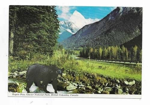 Single Postcards Topographical UK Worldwide General Interest Animals Etc. PC14-C - Picture 74 of 253