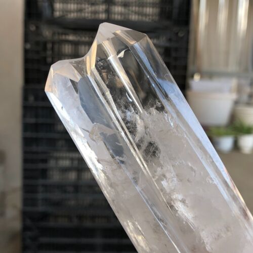 214g Natural white transparent Clear Quartz Crystal Cluster Mineral Healing C103 - Bild 4 von 16