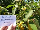 Foto 6 di 12