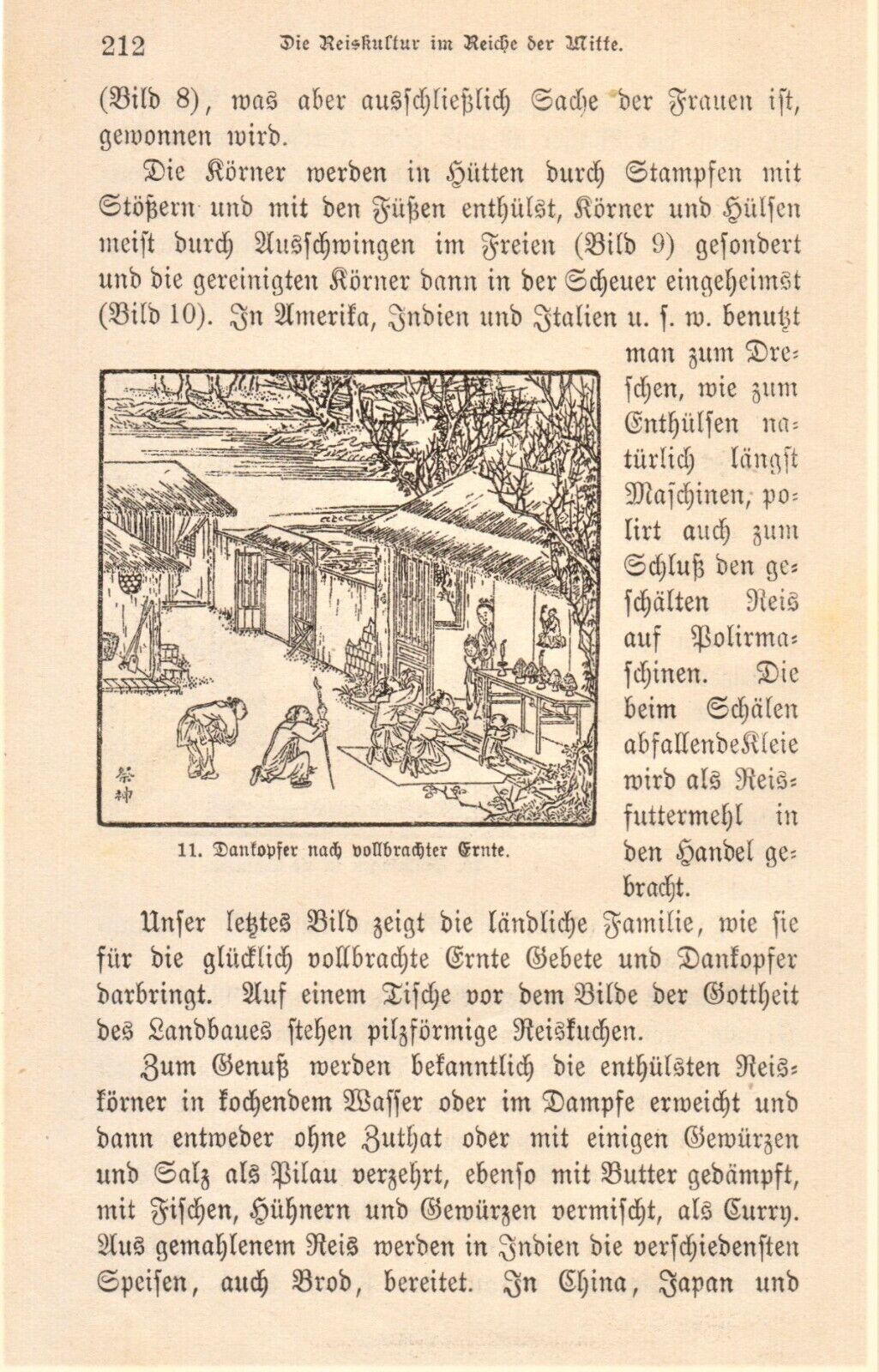 Bild 12 von 12