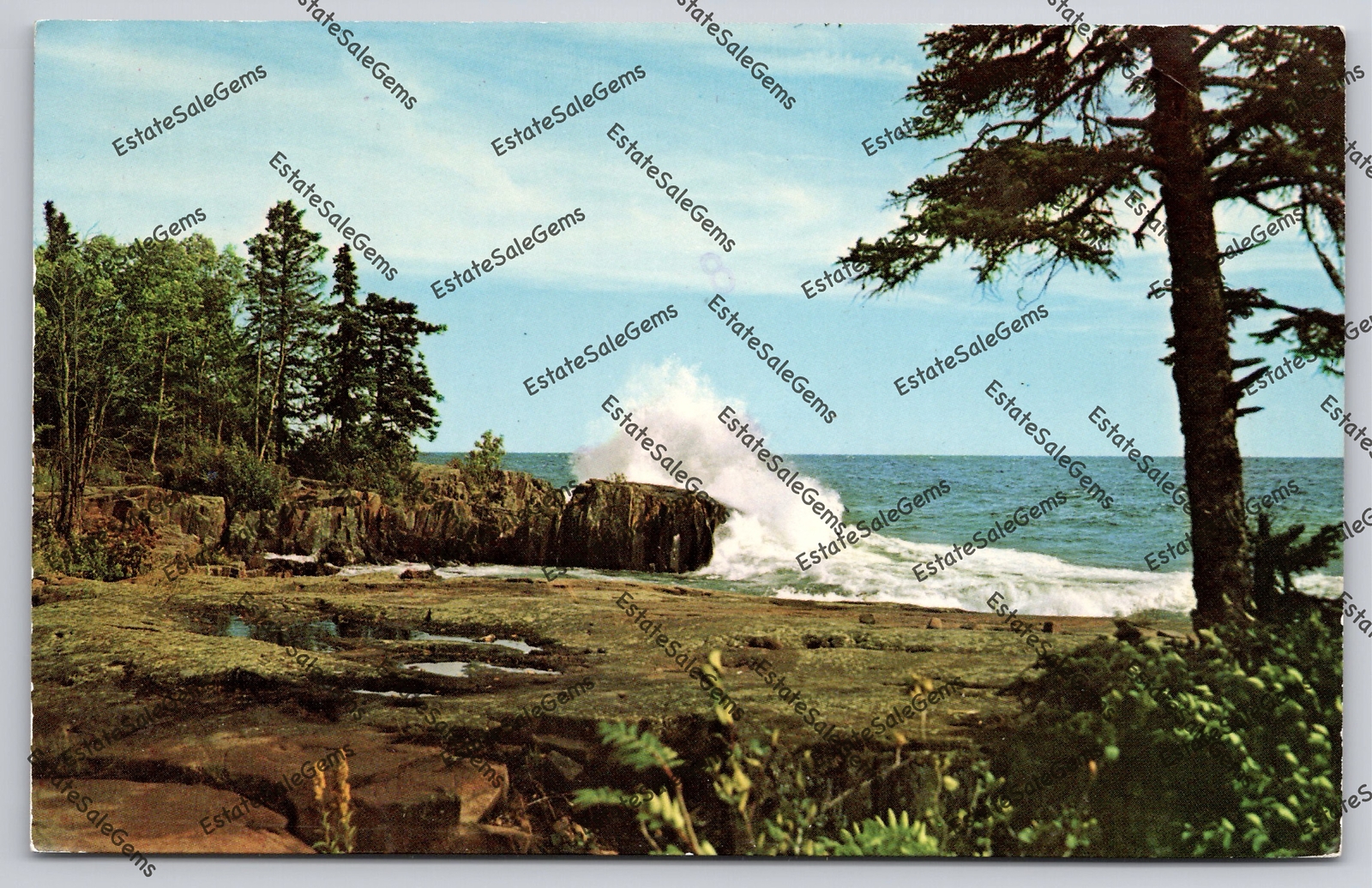 Picture 1 of 14