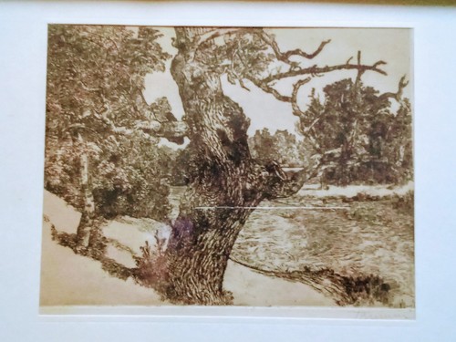 4 Radierungen von Liselotte Popp, Hedwig + Peter Trumm, circa 100 Jahre - Bild 2 von 10