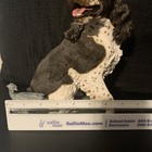 Bild 6 von 6