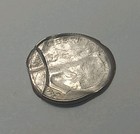 Picture 6 of 11