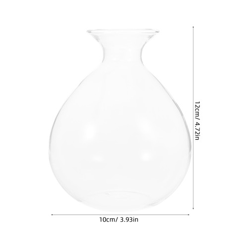 Avocado-Vase Vermehrungsvasen Für Pflanzen Glasklarer Wasserpflanzer - Bild 3 von 12