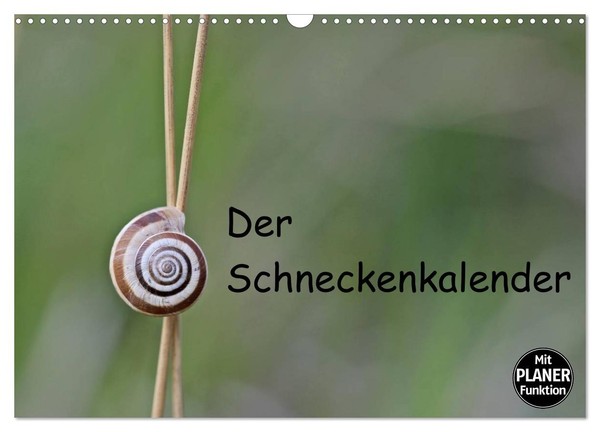 "Calendar 2027 · US Version · The Snail Calendar (Wall Calendar 2027 17\" × 12\" La"-image